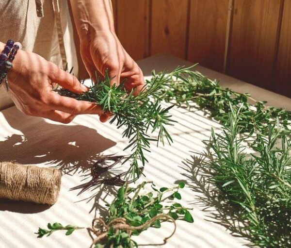 6 Common Herbal Mistakes in Spiritual Cleaning
