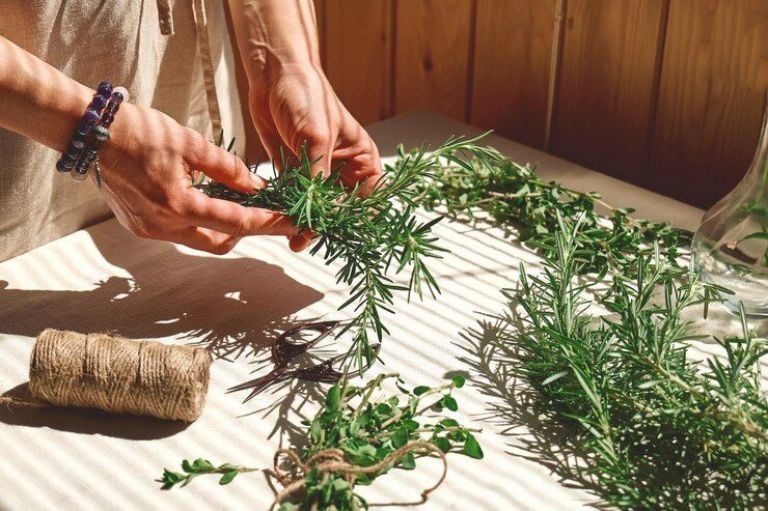 6 Common Herbal Mistakes in Spiritual Cleaning